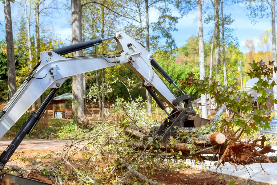 Superior Land Clearing Sparta GA